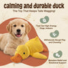 The Calming Duck Toy for dogs