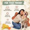 The Calming Duck Toy for dogs