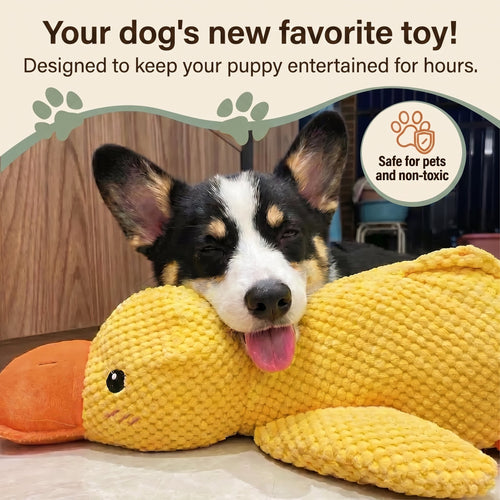 The Calming Duck Toy for dogs