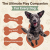 The Calming Duck Toy for dogs